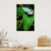 Blue Morpho 112 Print Poster (Küche)