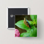 Blue Morpho 143 Button (Vorne & Hinten)