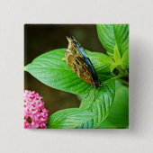 Blue Morpho 143 Button (Vorderseite)