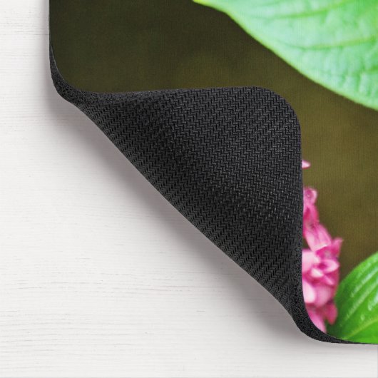 Blue Morpho 143 Mousepad (Ecke)