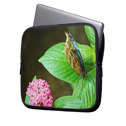 Blue Morpho 143 Notebook-Sieb Laptopschutzhülle (Vorderseite Links)