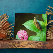 Blue Morpho 143 Plaque Fotoplatte (Seite)