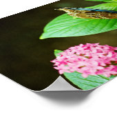 Blue Morpho 143 Print Poster (Ecke)