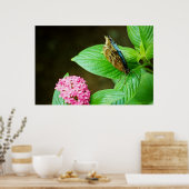 Blue Morpho 143 Print Poster (Küche)