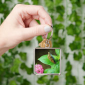 Blue Morpho 143 Schlüsselanhänger (Hand)