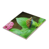 Blue Morpho 143 Tile Fliese (Seite)