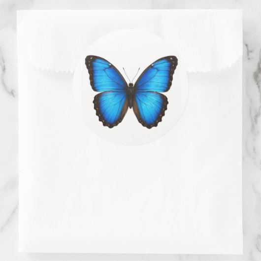 Blue Morpho Brilliant Runder Aufkleber (Tasche)