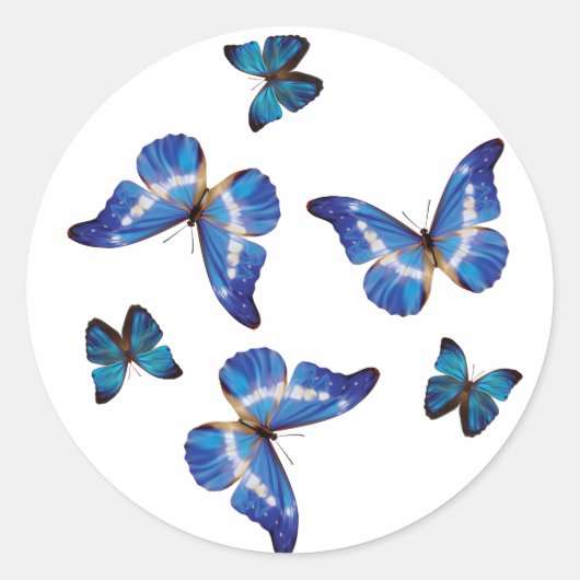 Blue Morpho Butterfells Stickers (Vorderseite)