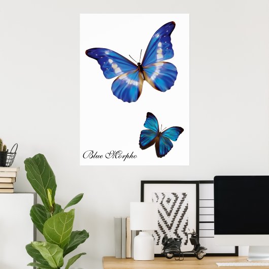 Blue Morpho Butterflies Poster (Heimbüro)