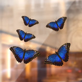 Blue Morpho Butterflies Window Cloning Fensteraufkleber (Blatt 2)