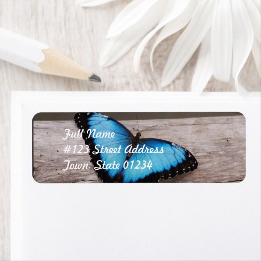 Blue Morpho Butterfly (Insitu)