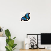 Blue Morpho Butterfly Art Print Poster (Heimbüro)