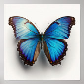 Blue Morpho Butterfly Art Print Poster (Vorne)