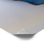 Blue Morpho Butterfly auf beiden Seiten Poster (Ecke)