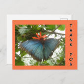 Blue Morpho Butterfly auf Blume Danke Postcard Postkarte (Vorne/Hinten)