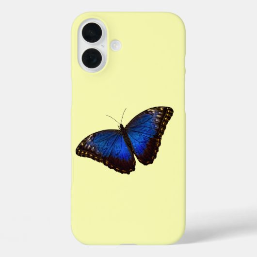 Blue Morpho Butterfly auf der Kanarischen Insel Case-Mate iPhone Hülle (Rückseite)