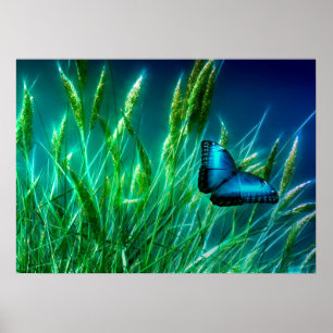 Blue Morpho Butterfly auf grünem Gras Poster