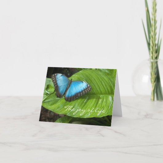 Blue Morpho Butterfly Card Karte (Vorderseite)