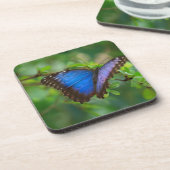 Blue Morpho Butterfly Cork Untersetzer (Linke Seite)