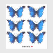 Blue Morpho Butterfly | Custom Cut Vinyl