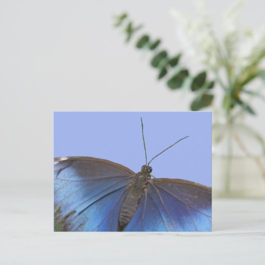 Blue Morpho Butterfly DIY Postkarte (Stehend Vorderseite)