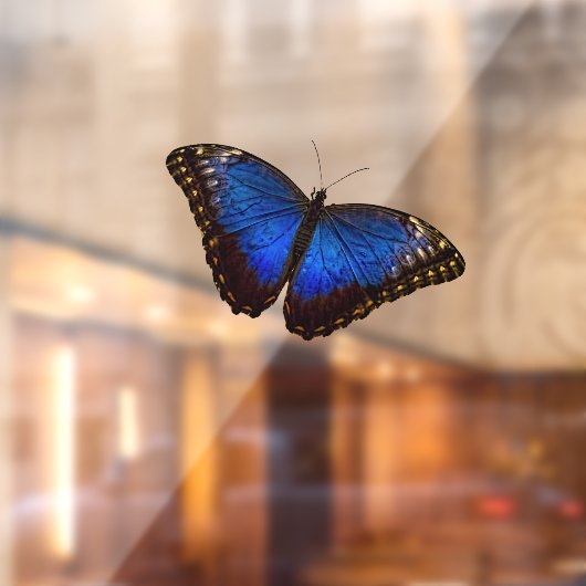 Blue Morpho Butterfly Fensteraufkleber (Blatt 2)