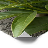 Blue Morpho Butterfly Floral Botanical Art  Poste Poster (Ecke)