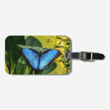 Blue Morpho Butterfly Floral Name