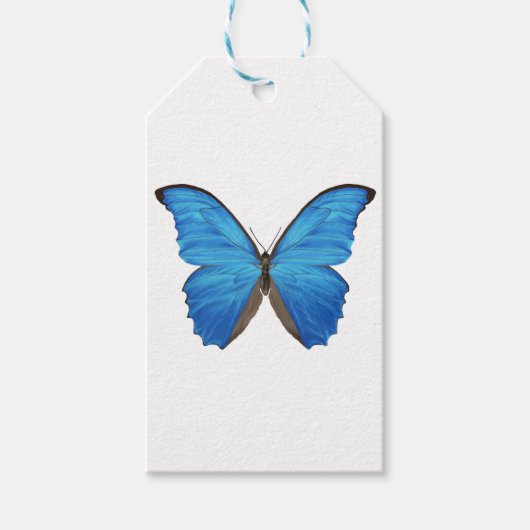Blue Morpho Butterfly Geschenkanhänger (Vorderseite)