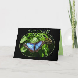 Blue Morpho Butterfly Happy Birthday Karte