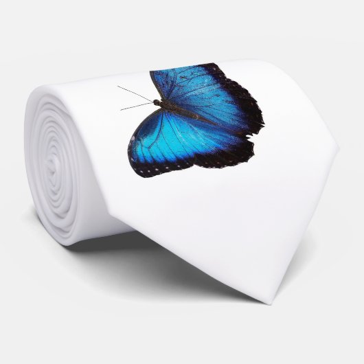 Blue Morpho Butterfly Krawatte (Gerollt)