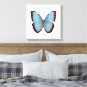 Blue Morpho Butterfly Leinwanddruck (Insitu (Schlafzimmer))