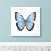 Blue Morpho Butterfly Leinwanddruck (Insitu (Holzboden))