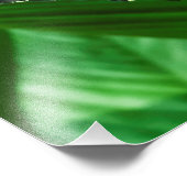 Blue Morpho Butterfly Natur Fotodruck (Ecke)