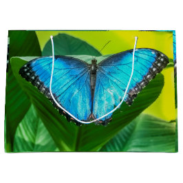Blue Morpho Butterfly Natur Große Geschenktüte
