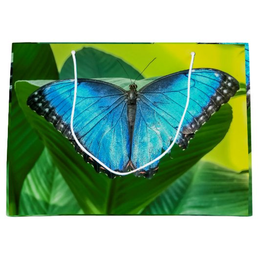 Blue Morpho Butterfly Natur Große Geschenktüte (Vorderseite)