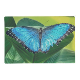 Blue Morpho Butterfly Natur Laminiertes Tischset