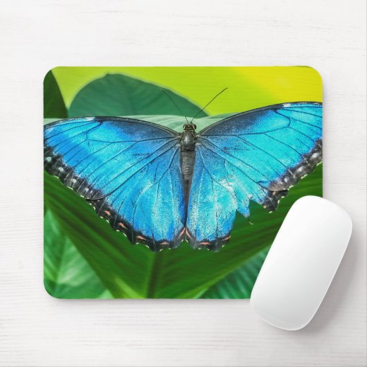 Blue Morpho Butterfly Natur Mousepad (Mit Mouse)