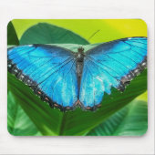 Blue Morpho Butterfly Natur Mousepad (Vorne)