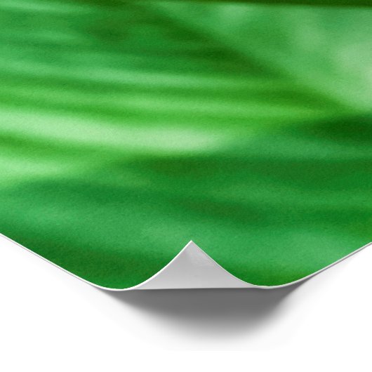 Blue Morpho Butterfly Natur Poster (Ecke)