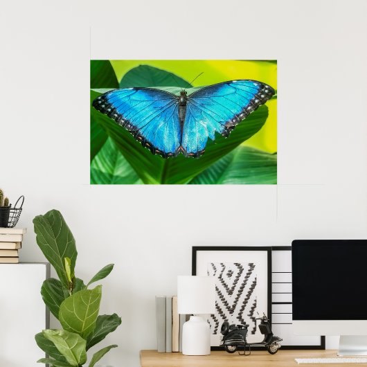 Blue Morpho Butterfly Natur Poster (Heimbüro)