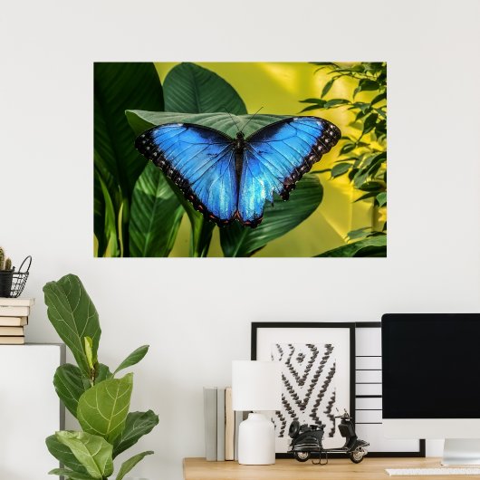 Blue Morpho Butterfly Natur Poster (Heimbüro)
