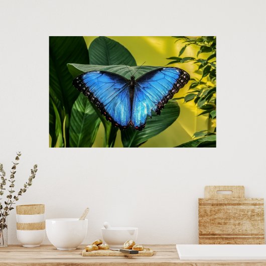 Blue Morpho Butterfly Natur Poster (Küche)
