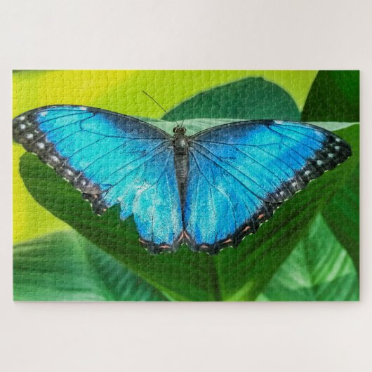 Blue Morpho Butterfly Natur Puzzle (Horizontal)