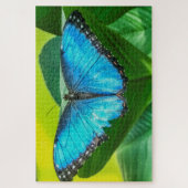Blue Morpho Butterfly Natur Puzzle (Vertikal)