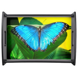 Blue Morpho Butterfly Natur Serviertablett