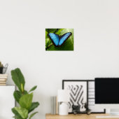 Blue Morpho butterfly nature photography poster (Heimbüro)