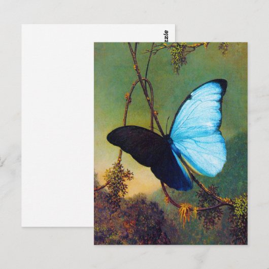 Blue Morpho Butterfly Postcard Postkarte (Vorne/Hinten)