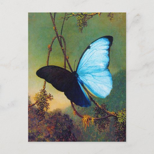 Blue Morpho Butterfly Postcard Postkarte (Vorderseite)