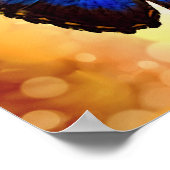 Blue Morpho Butterfly Poster (Ecke)